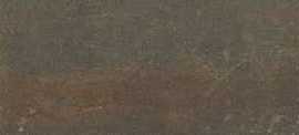 Керамогранит B-plus 120x20 Oxiline Cobre Lapado