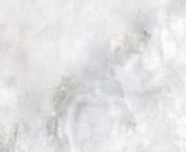 Керамогранит Pardis Ceramic Pazh 60x60 Berto