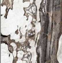 Керамогранит Ocean Ceramic 80x160 Namibia white полированная