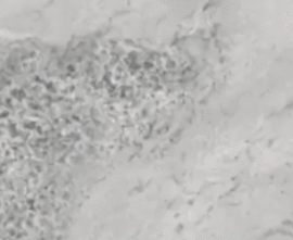 Керамогранит Hafez Alireza Naanakar Light Gray Gem Grad 1