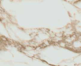 Керамогранит Pamesa Arabescato Gold Матовый Rect. 60x120