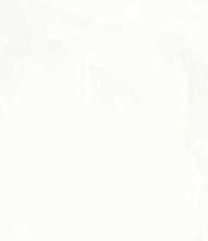 Керамогранит Art Ceramic Aragon White Glossy 60x120