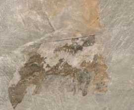 Керамогранит Rino Seramik Ardesia X2 Beige 60x90 20мм