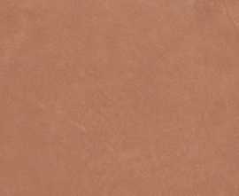 Керамогранит Ape Argillae Coral Rect 60х120