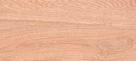 Керамогранит ITC Ariana Wood Brown Matt 20x120