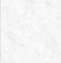 Керамогранит Pardis Ceramic Pazh Bloniya BS176541