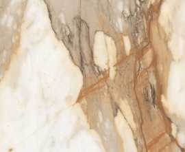 Керамогранит Absolut Gres Borgini Gold Gloss 60x60