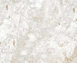 Керамогранит Absolut Gres Breccia Natural Gloss 60x60