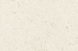 Керамогранит Kerlite Buxy Corail Blanc Natural 300x100