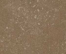 Керамогранит Kerlite Buxy Noisette Natural 100x100