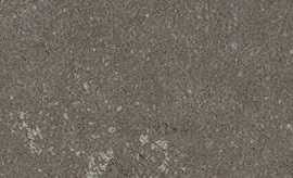 Керамогранит Kerlite Buxy Cendre Natural 100x50