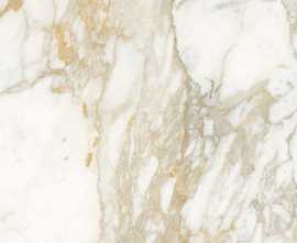 Керамогранит Absolut Gres Calacatta Sun Gloss 60x60