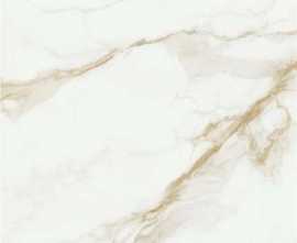 Керамогранит STN Ceramica Camile P.E. Pul. Gold Rect. 120