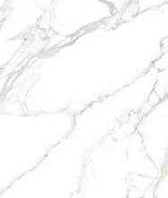 Керамогранит Rondine Group Canova Statuario lap ret 60x120