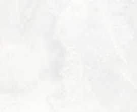Керамогранит Eurotile Carroll 435 100x100