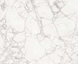 Керамогранит Maimoon Carving 60x120 Exotic White