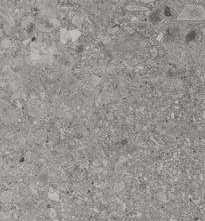 Керамогранит Rak Ceramics Ceppo Di Gre Stone Mid Grey 60x120