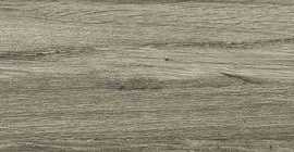 Керамогранит Fanal Ceylan Gris Pulido 22x118