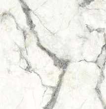 Керамогранит Dado Ceramica Charme Invisible Grey 60x120