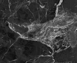 Керамогранит PrimaVera Dalim Black 60x30