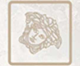 Декор керамогранит Versace Emote Tozzetto Onice Bianco 4
