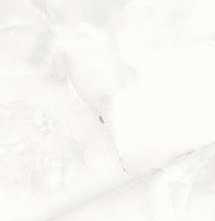 Керамогранит Alpas Floria Onyx 60x120 Silver Polished