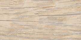Керамогранит Absolut Gres Forest Essenze Beige 120x20
