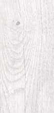 Керамогранит Polcolorit Foresta PG-Bianco