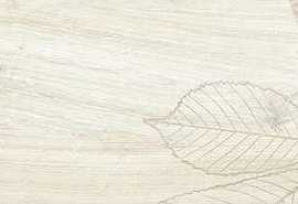 Керамогранит DEL Conca Foreste D'italia Foliage Bianco