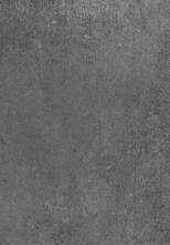Керамогранит Dado Ceramica Gare Du Nord Graphite 60x120