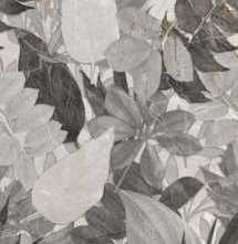 Керамогранит La Fenice Genesis Decoro Flora Cold