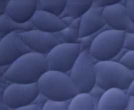 Керамогранит Love Ceramic Genesis Leaf Deep Blue matt