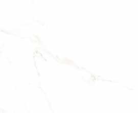 Керамогранит Granoland Golden Statuario Polish 120x60