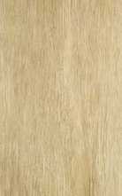 Керамогранит PrimaVera Hainich Beige