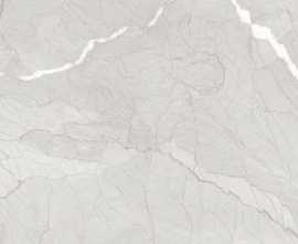 Керамогранит Evolution ceramic Hawk Silver Carving 60х120