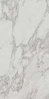 Керамогранит Edilcuoghi Edilgres Italian Marble Im Arabesque White Polished 60х120