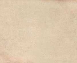Керамогранит Vives Kent Beige 25x75