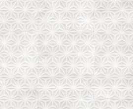 Керамогранит Vives Kent Minety Nieve 20x50