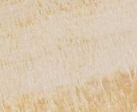 Керамогранит Versace Marble Oro Onice Lap 19x58 Lux