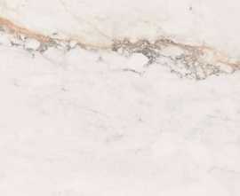 Керамогранит Pamesa Marbles-Cr. Pisa Gold Compacglass Rect. 60x60