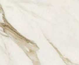 Керамогранит Versace Maximvs Calac Br Luxr 60x120