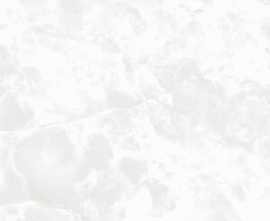Керамогранит Pardis Ceramic Pazh Maysa GR186510 Polished
