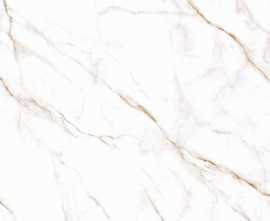 Керамогранит Alma Ceramica Neo Calacatta 04R Матовый 120x60