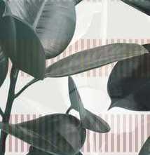 Керамогранит 41Zero42 Paper41 Pro OLIVIA (2 mix)