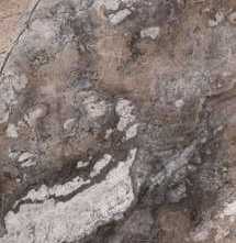 Керамогранит Etili Seramik Paradise Quarry Brown Polished Rec.