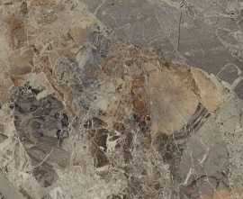 Керамогранит Seron Persian Granite Glossy 80x160