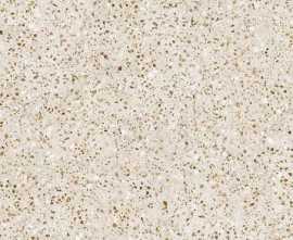 Керамогранит Alma Ceramica Peru 04R Матовый 120x60