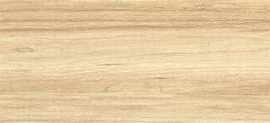 Керамогранит Bonaparte Porcelain Tile 120x20 ZC 1223081 rect.
