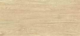 Керамогранит Bonaparte Porcelain Tile 120x20 ZC 1223096 rect.