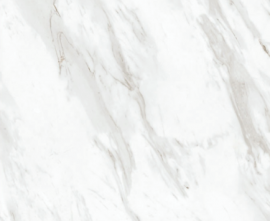 Керамогранит Bonaparte Porcelain Tile 60x60 Volakas arena (Grey)